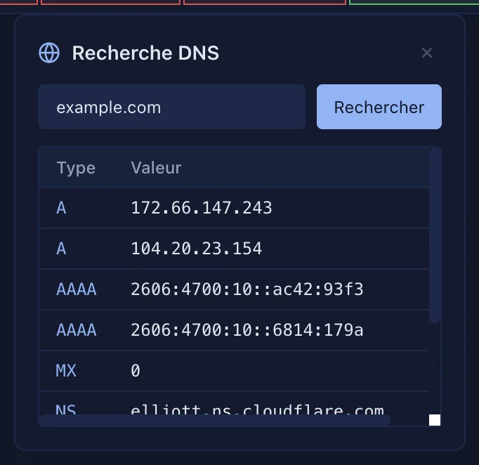 Le résultat d'une recherche DNS