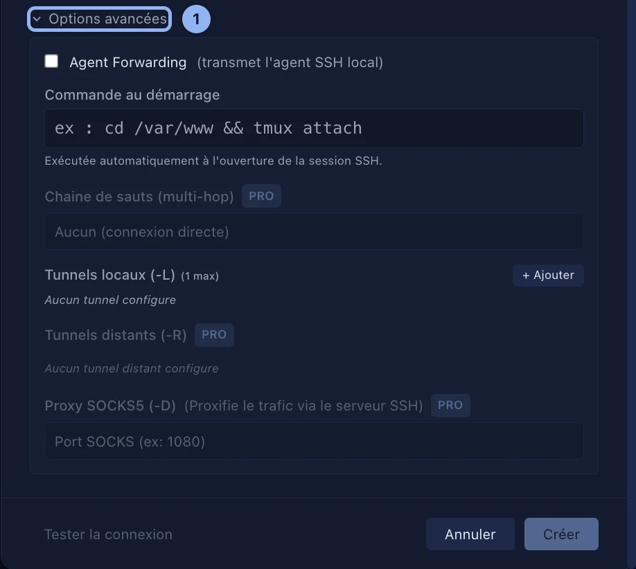 Les options avancées : agent forwarding, commande au démarrage, rebonds, tunnels