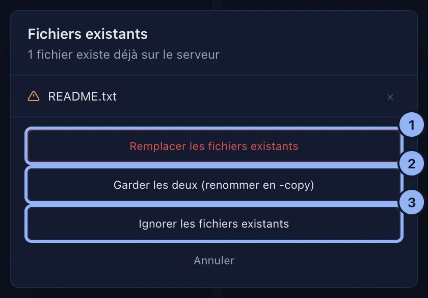 Le choix à faire quand des fichiers existent déjà