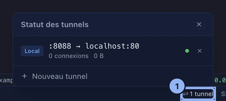 Le statut des tunnels d'une session