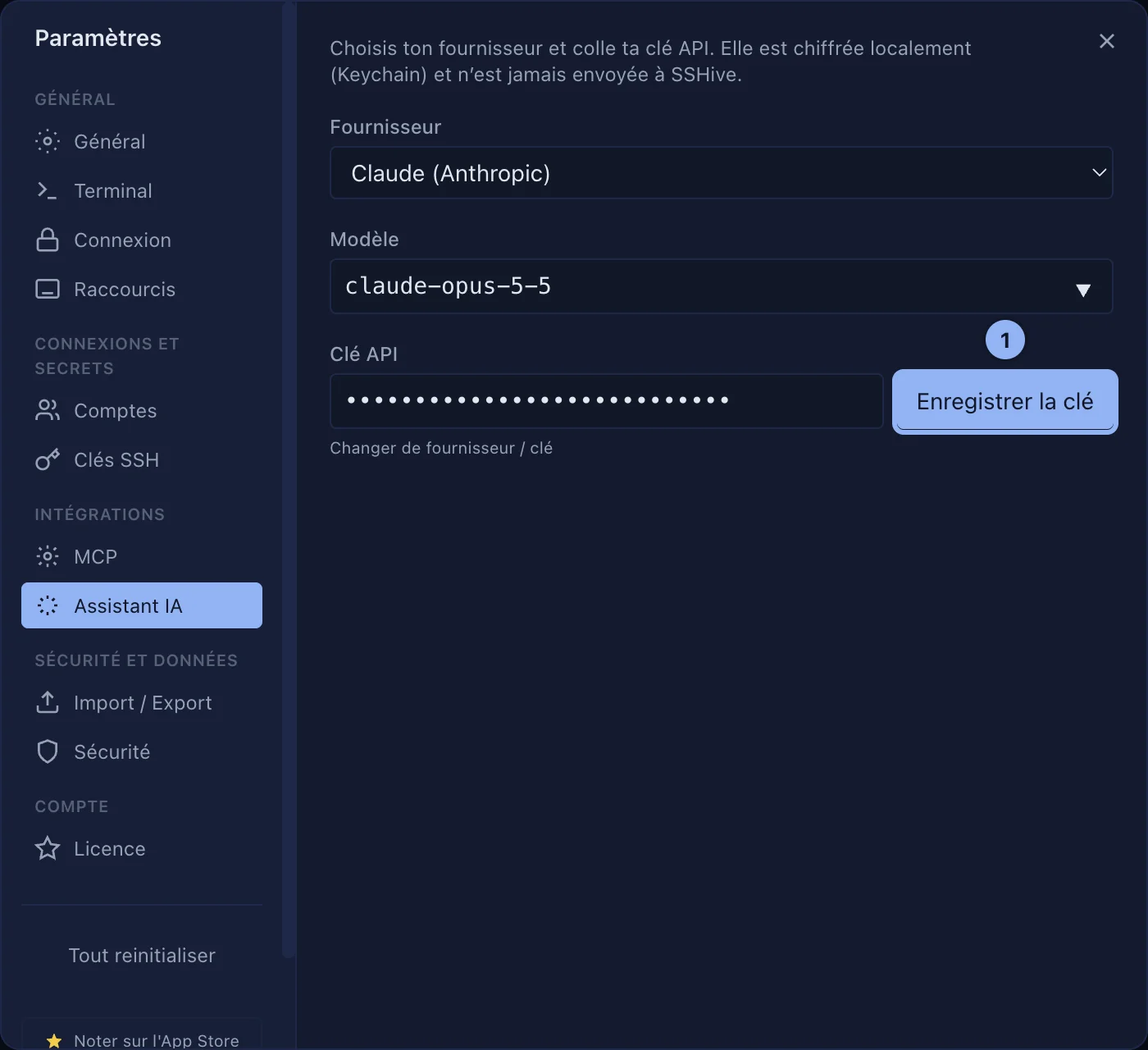 Le réglage de l'assistant IA du terminal