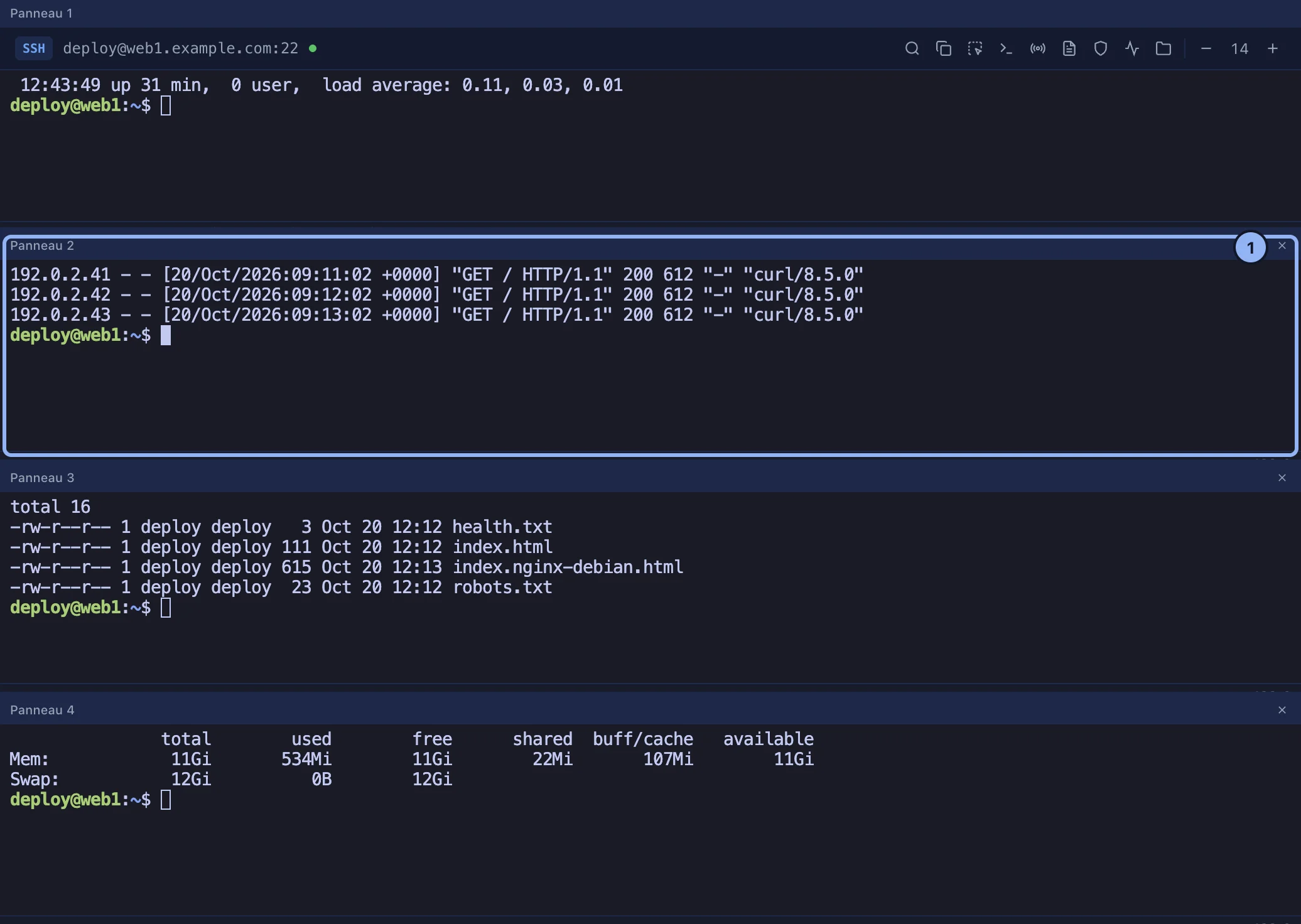 Le terminal divisé en quatre